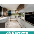 Muebles de gabinetes de cocina de coctelera de diseños de lujo (AIS-K209)